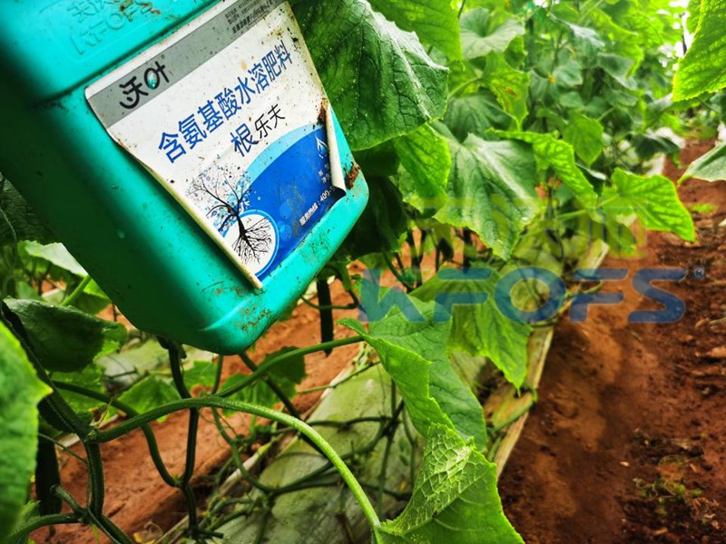 黃瓜用什么肥才能使產(chǎn)量高？