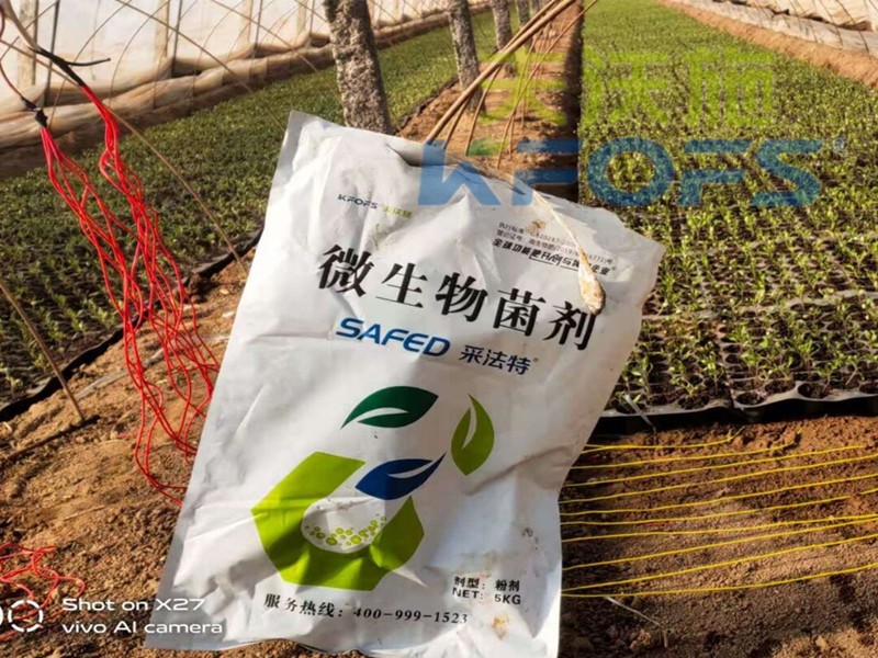 辣椒苗期用什么水溶肥長(zhǎng)得好？