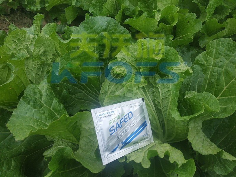 白菜葉面肥哪家好？