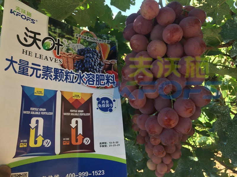 果樹沖施肥怎么樣沖，才能有好效果呢？