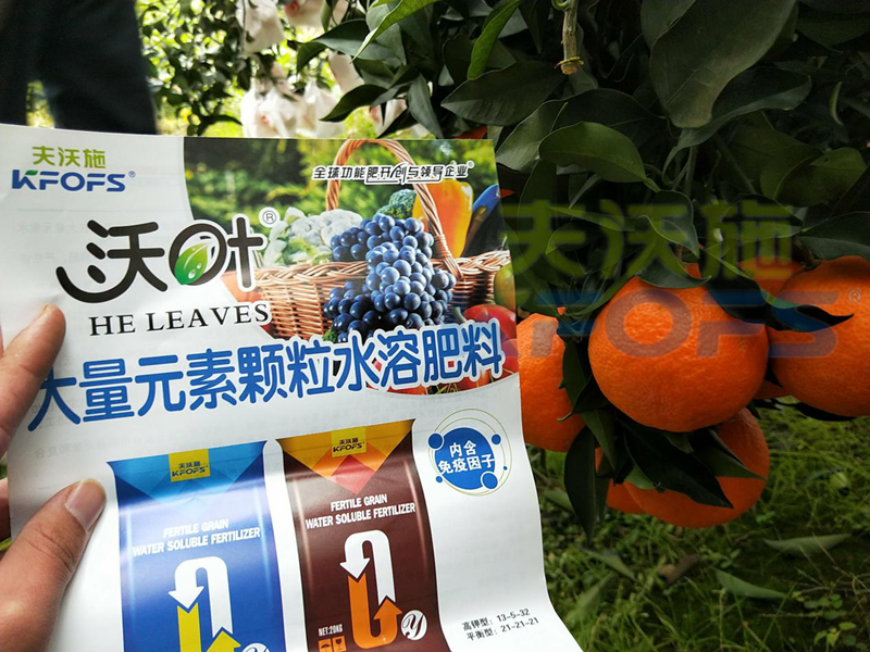 柑橘轉(zhuǎn)色期水溶肥這樣用！