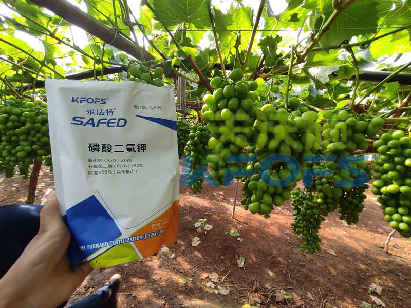 水溶肥競爭那么大，農(nóng)資經(jīng)銷商如何打破困境？