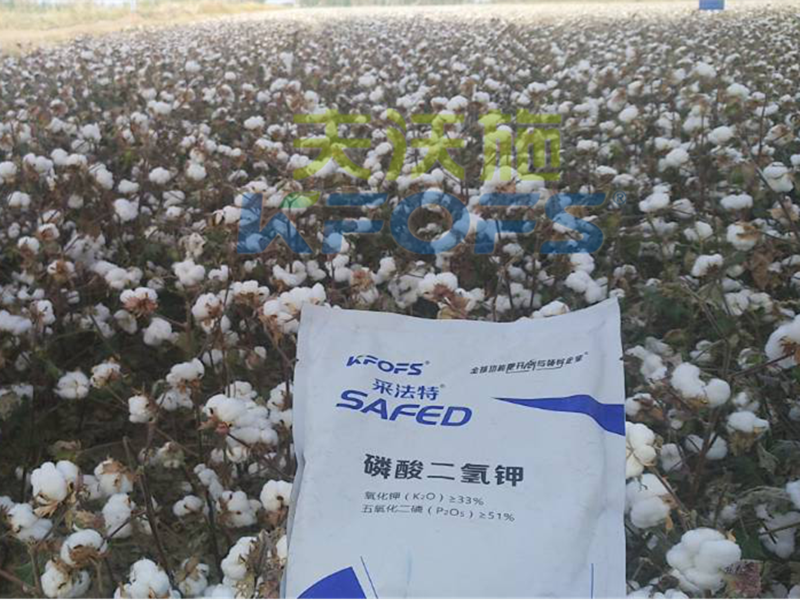 水溶肥哪家好？楊老板說他只信賴采法特！