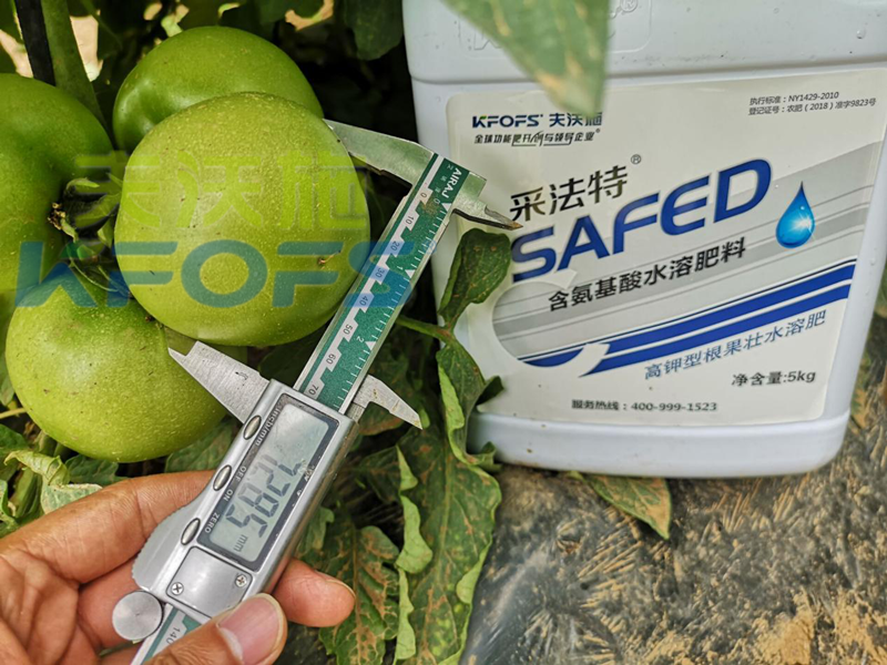 大棚蔬菜冬季用什么肥？