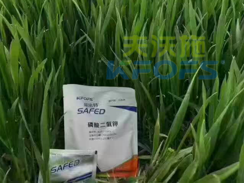 磷酸二氫鉀怎么使用，作物才能長得好