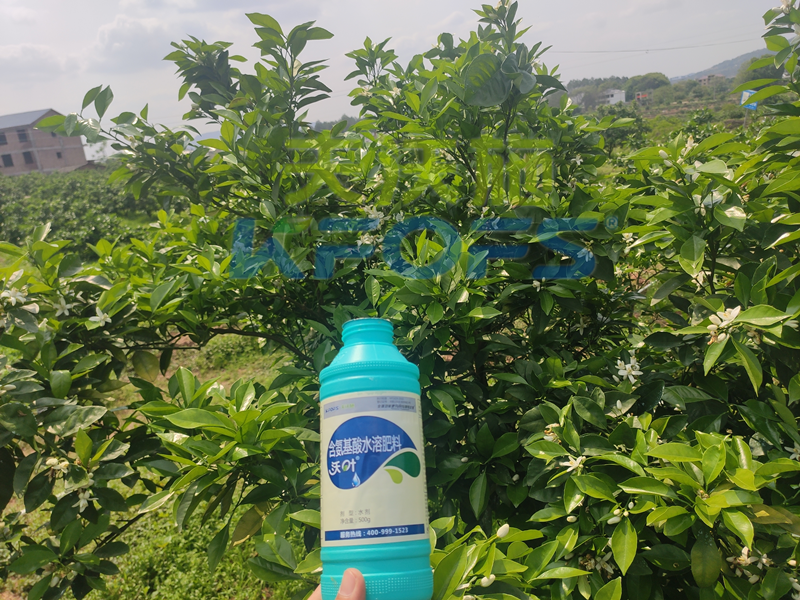 氨基酸水溶肥作用強(qiáng)，果樹用它效果好