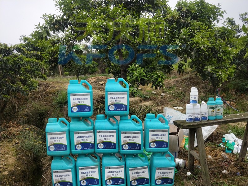 水溶肥在柑橘上怎么使用效果好，一定要收藏