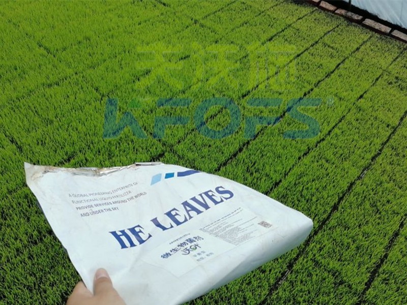 微生物菌劑在農(nóng)作物上使用，有什么效果