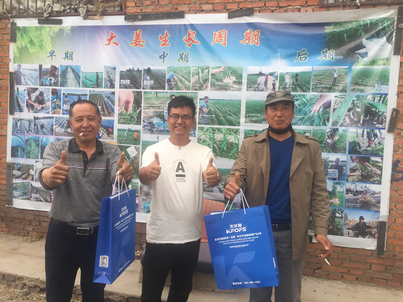 水溶肥料合理搭配讓大姜長(zhǎng)勢(shì)健壯