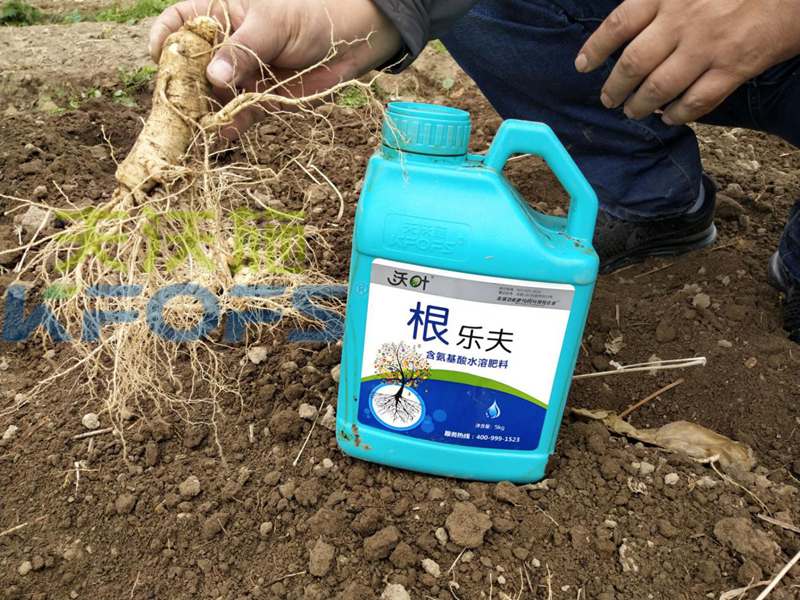 沃葉水溶肥怎么樣？聽聽種植戶的回答