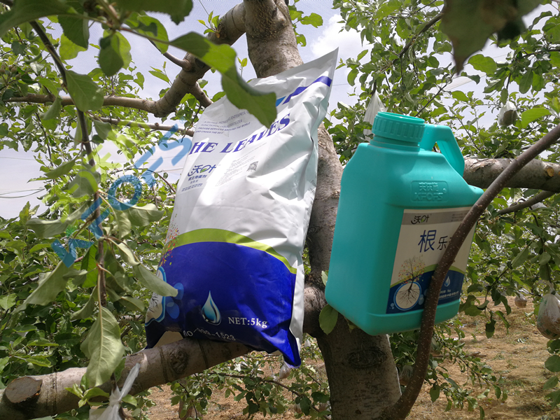 沃葉水溶肥怎么樣？種植戶的心聲