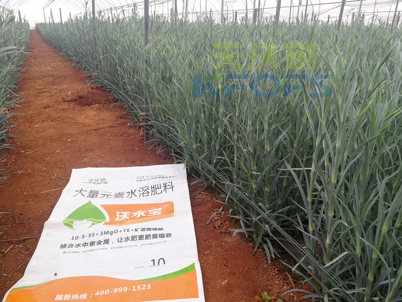 進口水溶肥真的好過國產(chǎn)嗎-沃水寶大量元素.png