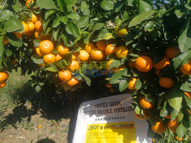 顆粒水溶肥，為何謝總只偏愛沃葉！