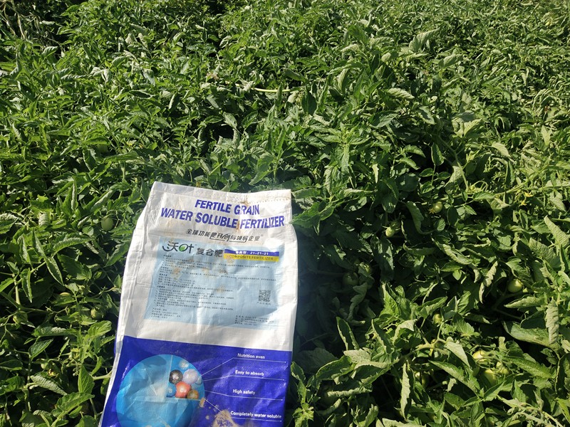 水溶肥這樣用效果好，你知道嗎？