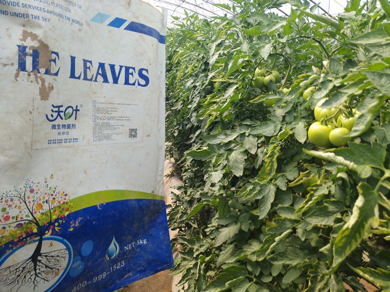 微生物菌劑哪家好？別上當(dāng)了