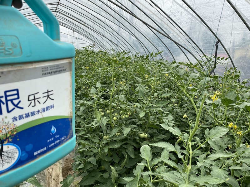 生根肥選它，生根壯苗更省心