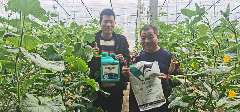 水溶肥為什么要選擇正規(guī)廠家？周總的教訓(xùn)！