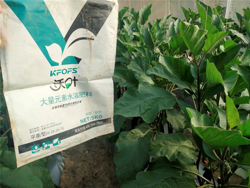 大量元素水溶肥-茄子用沃葉大量元素水溶肥.jpg