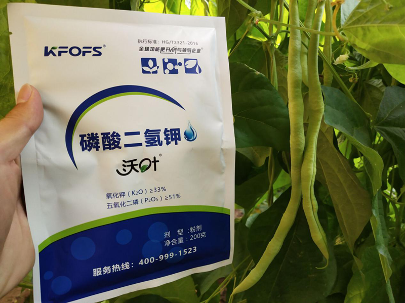 豆角沖施什么肥料好
