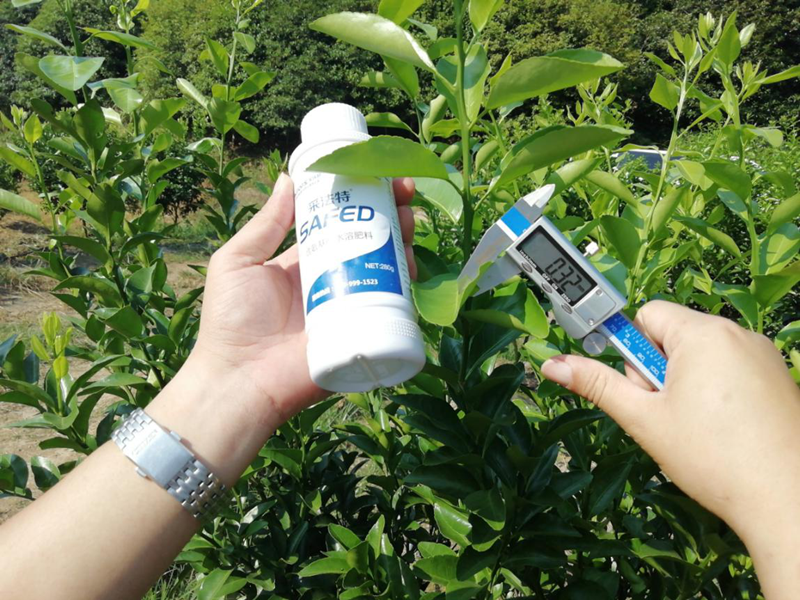 柑橘水溶肥哪個(gè)牌子好?基地老板這樣說(shuō)