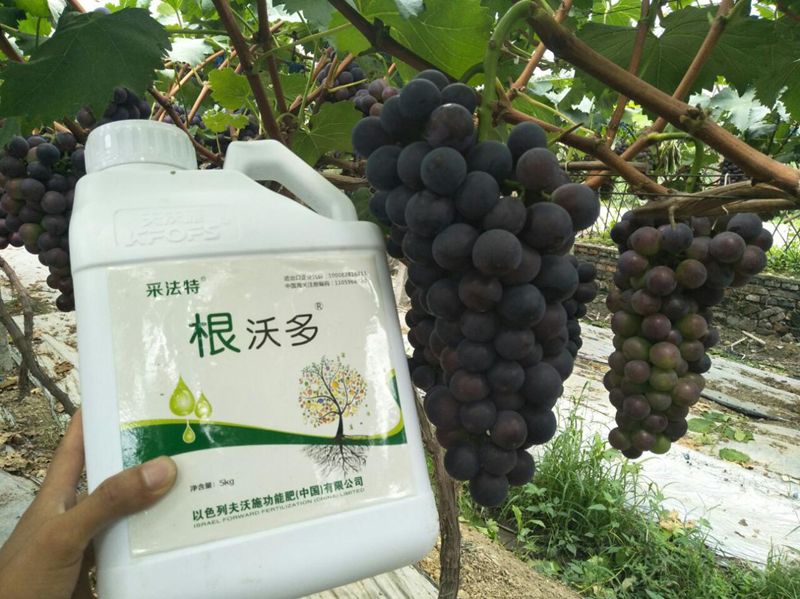 生根劑哪個好？養(yǎng)根護(hù)根很關(guān)鍵！