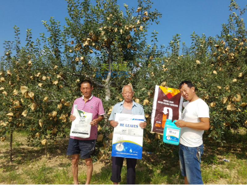 生根劑-果樹根腐救星！