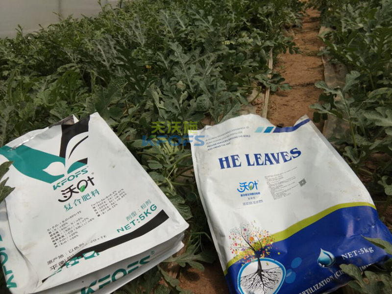 水溶肥作用多，西瓜這樣施肥準(zhǔn)沒(méi)錯(cuò)