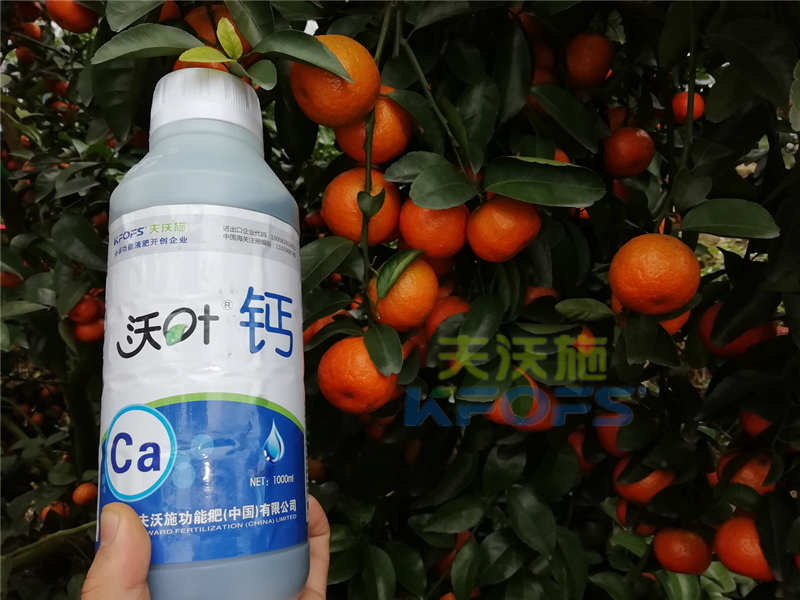 種柑橘用什么肥料好？