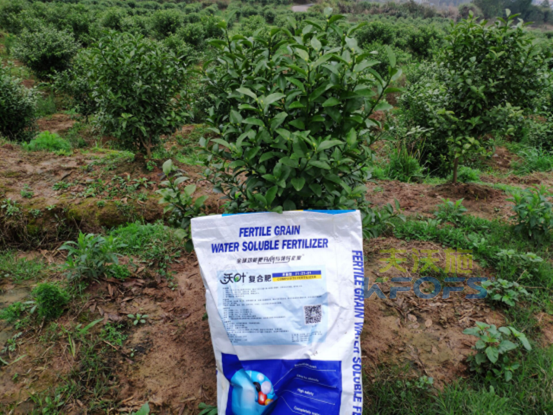 沖施肥哪家好？