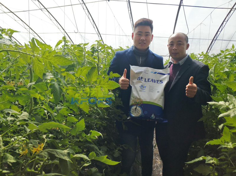 50年后的土壤如何，值得我們深思!