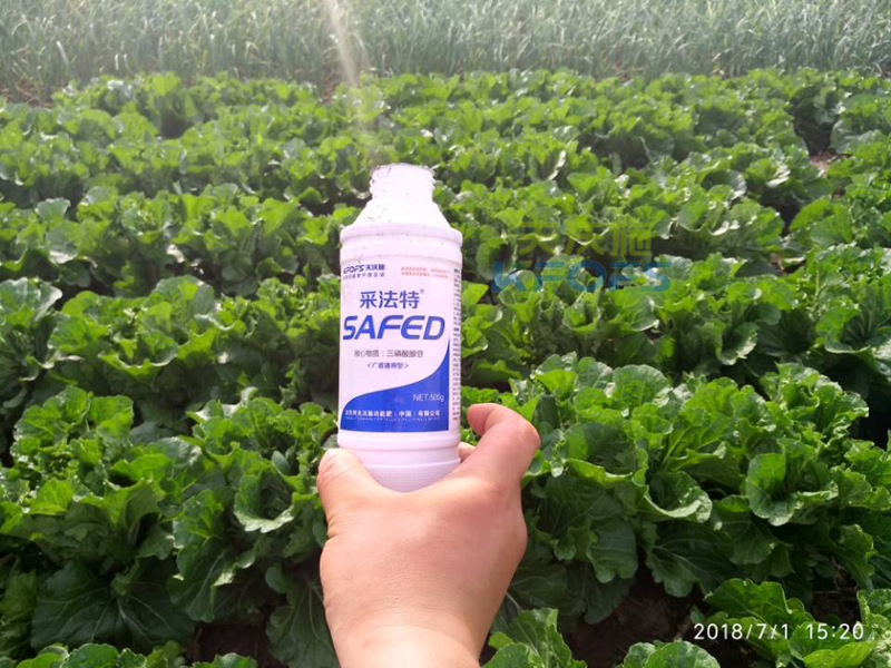 葉面肥多久用一次