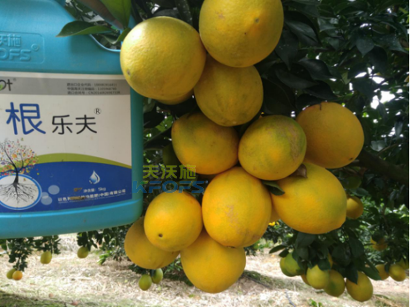 果樹沖施肥的方法和時間？