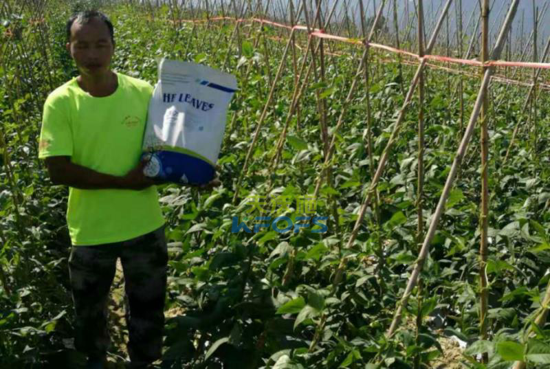 豆角沖施肥怎么用？