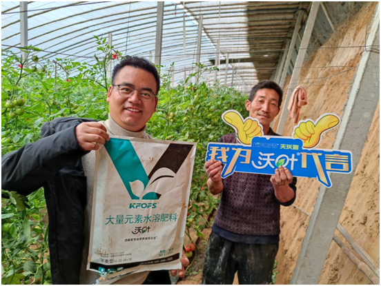 水溶肥那一個廠的好！