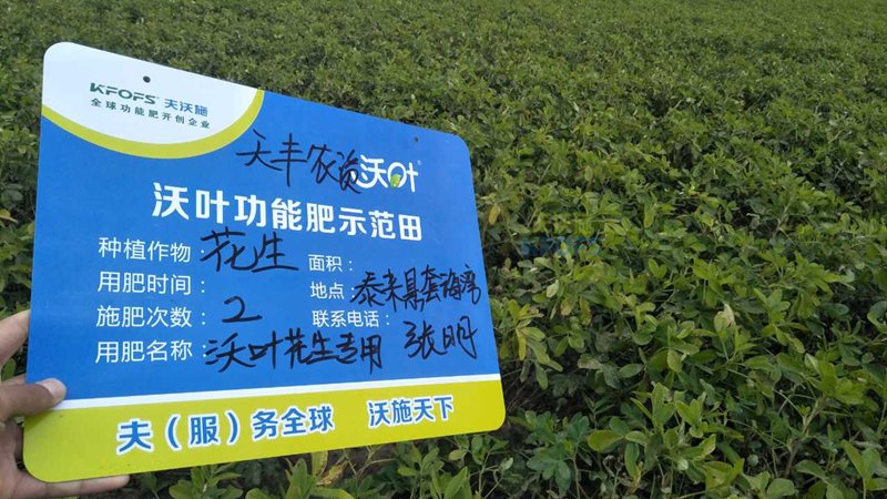 花生增產(chǎn)葉面肥用哪些好？