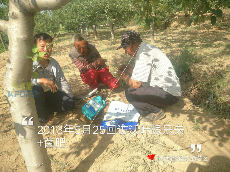 生根劑使用方法！