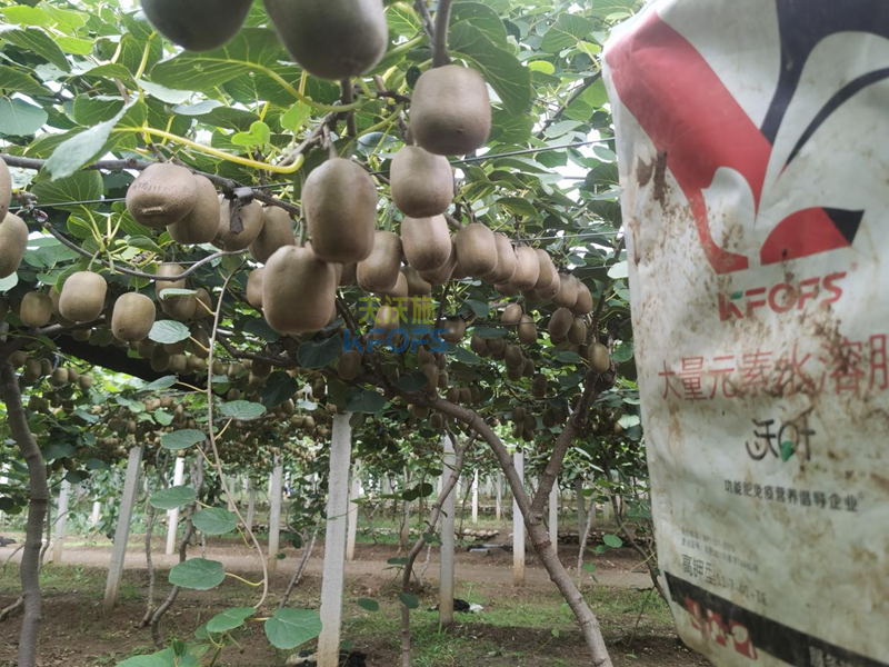 水溶肥有哪些？