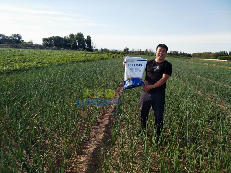 菌肥使用注意事項(xiàng)