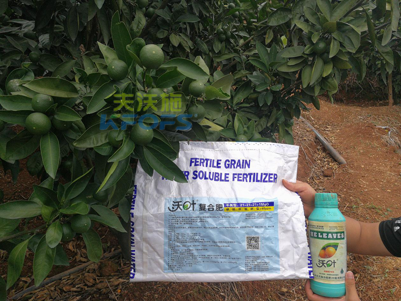 水溶肥哪個(gè)牌子的好-沃葉柑橘1.png