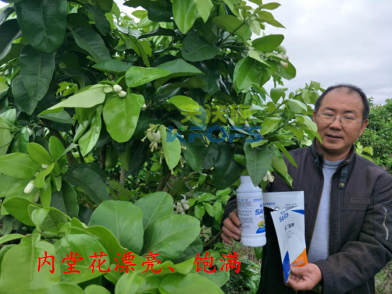 磷酸二氫鉀哪家好