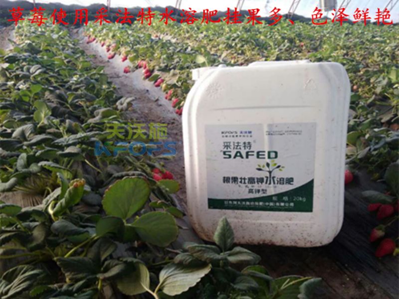 進(jìn)口肥料如何選擇