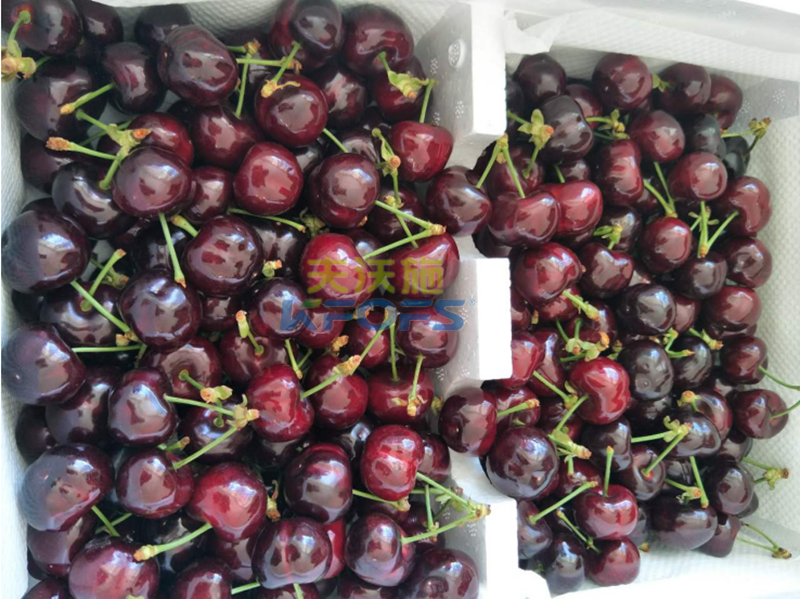 沖施肥的用途？