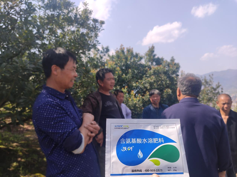 楊梅噴什么水溶肥好？