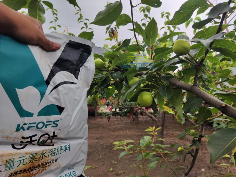 水溶肥好在哪？