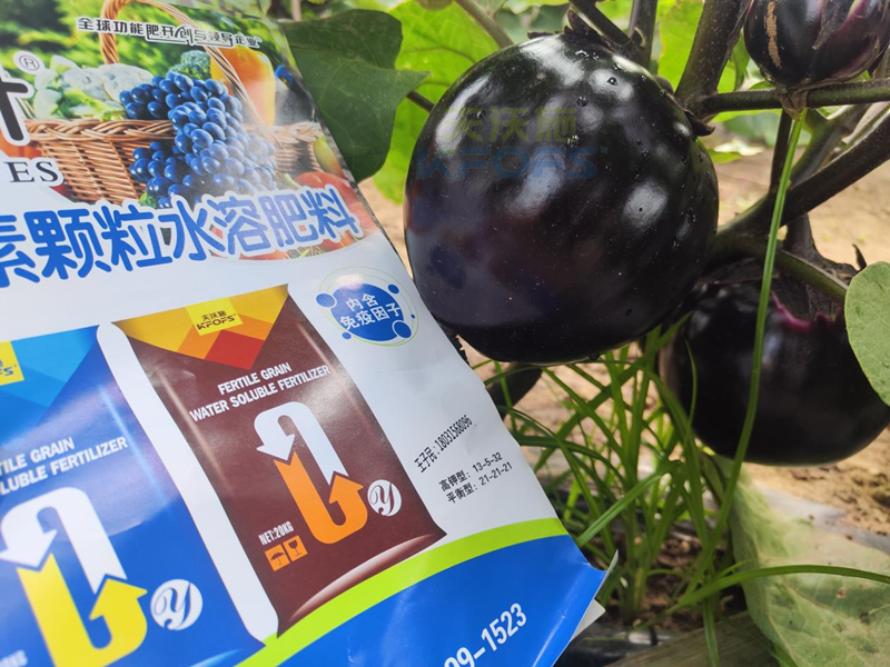 茄子施什么肥長(zhǎng)得好-沃葉顆粒水溶肥.png