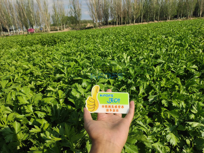 生根套餐哪家強(qiáng)？王老板選擇選夫沃施