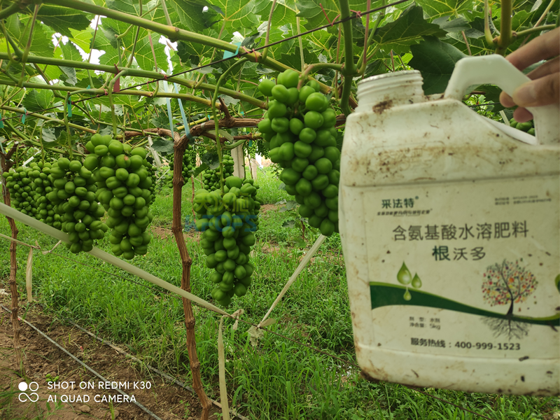 水溶肥怎么選？夫沃施告訴你這幾點(diǎn)