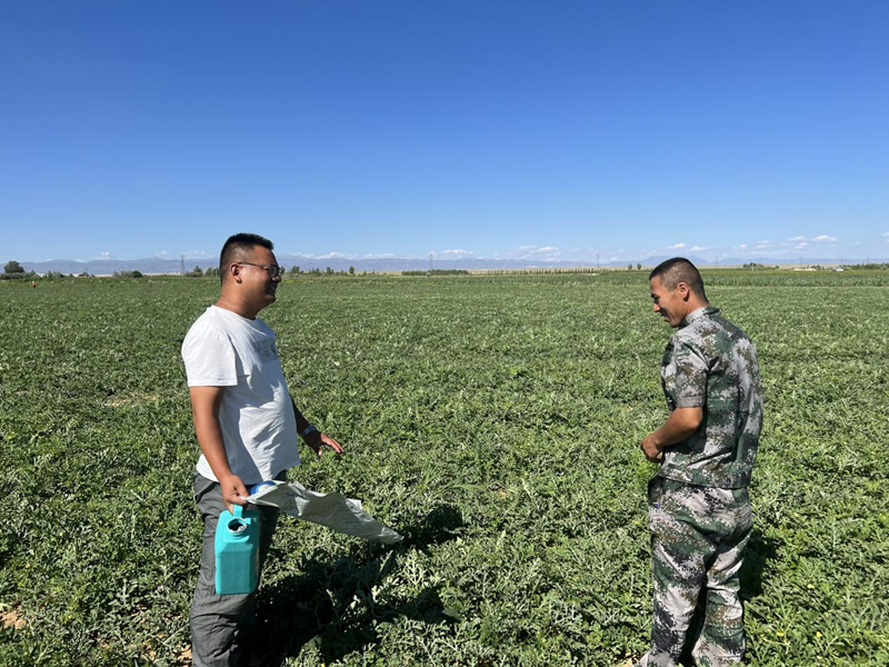 水溶肥好不好？用過(guò)才知道