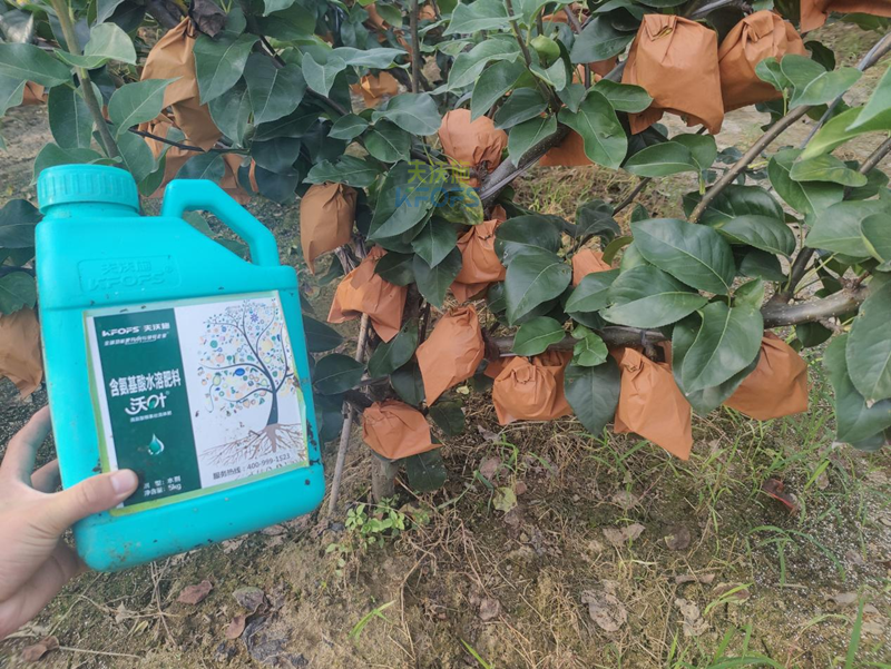 果樹結(jié)果應(yīng)該施什么肥-沃葉水溶肥1.png