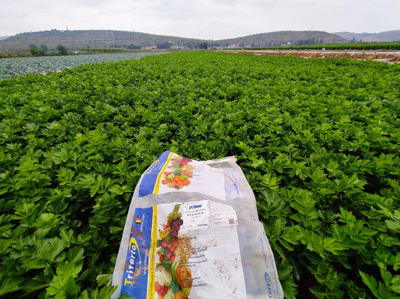 顆粒水溶肥哪家好？